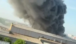 Алматы маңында картон зауытындағы қойма өртенді