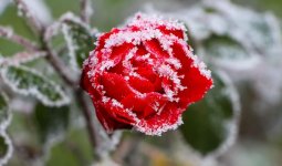 Үсік жүреді: бүгін еліміздің барлық өңірінде дауылды ескерту жарияланды