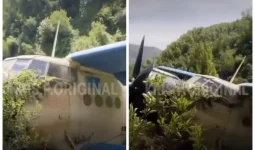 Алматы облысында Ан-2 ұшағы апатты жағдайда қонды (ВИДЕО)