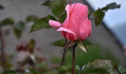 Бүгін ел аумағында найзағай ойнап, дауыл тұрады