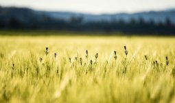 Еліміздің барлық дерлік өңірінде дауылды ескерту жарияланды