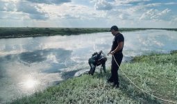«Өкпесі ісініп кеткен»: Павлодардағы тұзды көлде ер адам көз жұмды