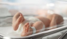 «Қонақүйде босанған»: Астанада кәріз құдығынан жаңа туған сәби табылды