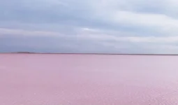 Көбейтұз көлі ерекше қорғалатын табиғи аумаққа айналады