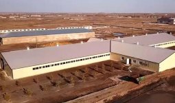 Сүт фермасындағы қайғылы оқиға: алты жұмысшының қазасына комиссия құрылды