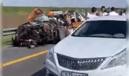 Ақмола облысында жеңіл көлік жүк көлігіне соқтығысып, екі адам қаза тапты