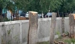 «Ағаш орнына томар қалды»: Өскемендегі балабақша ауласында болған отау халықтың ашуын туғызды