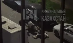 Алматыда бес жігіт екі адамды аяусыз соққыға жыққан