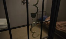 Неке қиды да, бірден изоляторға түсті: Көкшетаудағы жас жұбайлардың тойы жанжалмен аяқталды
