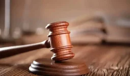 Аңшылық мылтықпен екі рет атқан: Қостанай тұрғыны 14 жылға сотталды