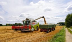 Қазақстан АӨК экспортының жалпы көлеміндегі өңделген өнім үлесін 70%-ға дейін арттыруды жоспарлап отыр