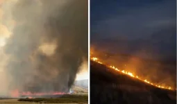 Қарағанды облысында ірі табиғи өрт сөндіріліп жатыр (ВИДЕО)