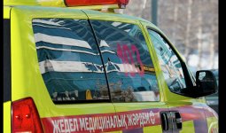 Қарағандыда ағаш бұтағы құлап, 5 жастағы бала қаза тапты