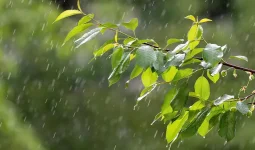 Алдағы күндері еліміздің бірқатар өңірінде қар жауады