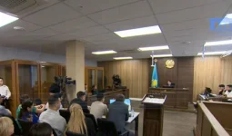 Ұлдана Мырзуанның басына кондиционер емес, темір құлады – жәбірленуші