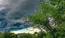 Дауыл тұрып, тұман түседі: Еліміздің бірқатар өңірінде дауылды ескерту жарияланды