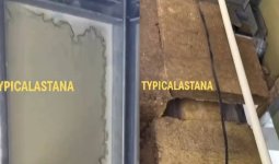«Бизнес-класс» деп сатылған үйдің сиқы осы ма?: Астанада BI Group тұрғындары құрылыс сапасына шағымданды