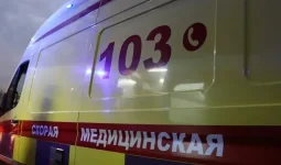 Павлодарда жеңіл көлік пен КамАЗ соқтығысып, бір адам қаза тапты