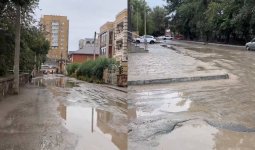 «Семей емес, батпақ па?»: қала ортасындағы жолдың сиқы жұртты ашуландырды