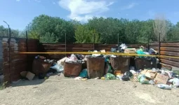 Жамбылда жаңа туған сәбиін қоқысқа тастап кеткен әйел ұсталды
