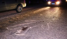 Алматы облысында жол апатынан екі жаяу жүргінші мерт болды