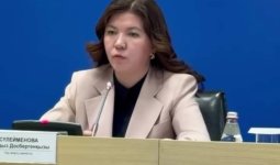 Бастауыш сыныптарда БЖБ мен ТЖБ алынып тасталды: орнына диктант пен шығарма қайтарылады
