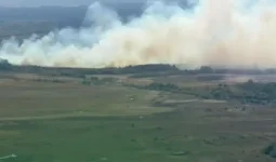 Ақмола облысында орман өртеніп, 2 тікұшақ жұмылдырылды (ВИДЕО)