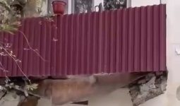 Апатты деп танылғанына үш жылдан асты: Атырауда тұрғын үйдің балконы опырылып түсті