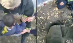 Қарағандыда бала үйдің жанындағы терең шұңқырға құлап кеткен (ВИДЕО)