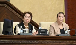 Халық кеңесін құруға қанша қаржы бөлінетіні белгілі болды