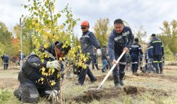 Қазақмыс жұмыскерлердің бастамасына қолдау көрсетті: Қарағайлыда 400 түп ағаш отырғызылды