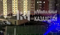 Астанадағы ерлі-зайыптының өліміне қатысты тың дерек шықты