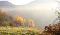 «Үсік жүріп, тұман түседі»: Еліміздің бірқатар өңірінде дауылды ескерту жарияланды