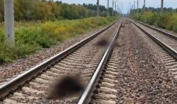 Ақмола облысында жолаушылар пойызы 13 бас малды қағып кетті