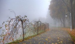 21 қыркүйекте бірнеше өңірде тұман, найзағай, жел күтіледі