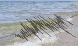 Каспий теңізінде жер сілкінісі тіркелді