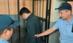 «Біз үшін өліп пе?»: Әскерилердің қазасына қатысты бейәдеп сөз айтқан шымкенттік ұсталды (ВИДЕО)