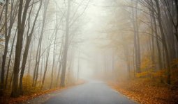 Үсік, тұман: Еліміздің 15 өңірінде дауылды ескерту жарияланды