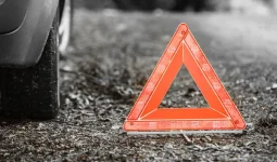 Атырау облысында жол қызметінің көлігі жылқымен соқтығысып, жасөспірім қаза тапты