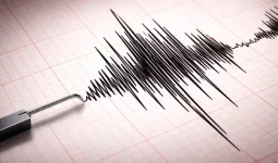 Қырғызстанда 4,9 балдық жер сілкінісі болды