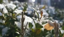 Жаңбыр мен қар жауады: 3 қазанға арналған ауа райы болжамы