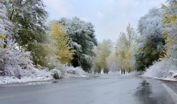 Оңтүстікте үсік, солтүстікте қар: 7 қазандағы ауа райы тұрғындарды әбігерге салады