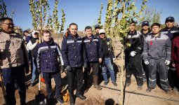 2 500 ағаш отырғызылады: Қазақмыс Балқаштың орталық саябағын көгалдандыруға атсалысты