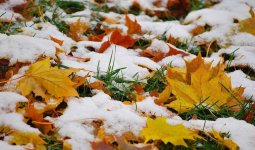 Қазақстанда ауа райы күрт өзгереді: қар, көктайғақ және қатты жел күтіледі