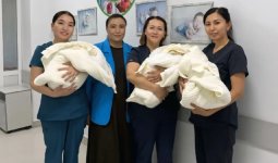 Сұлтан, Омар, Осман: Түркістан облысында үшем дүниеге келді