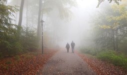 Тұман түсіп, жел соғады: Еліміздің басым бөлігінде дауылды ескерту жарияланды