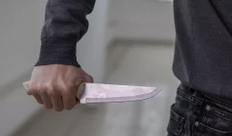 «Әкесіне 6, анасына 9 рет пышақ сұққан»: Теміртаудағы қанды қылмыстың мән-жайы белгілі болды