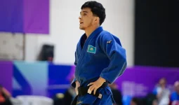 Қазақстан дзюдодан әлем чемпионатын бір медальмен аяқтады