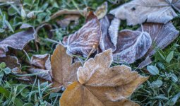 Қазақстанның 17 өңірінде дауылды ескерту жарияланды