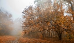 «Аяз, тұман, көктайғақ»: Дүйсенбіде еліміздің 16 өңірінде дауылды ескерту жарияланды